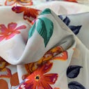 AC764 F15 086 C 4862 941 B 1 E31 F6 BFCBB6